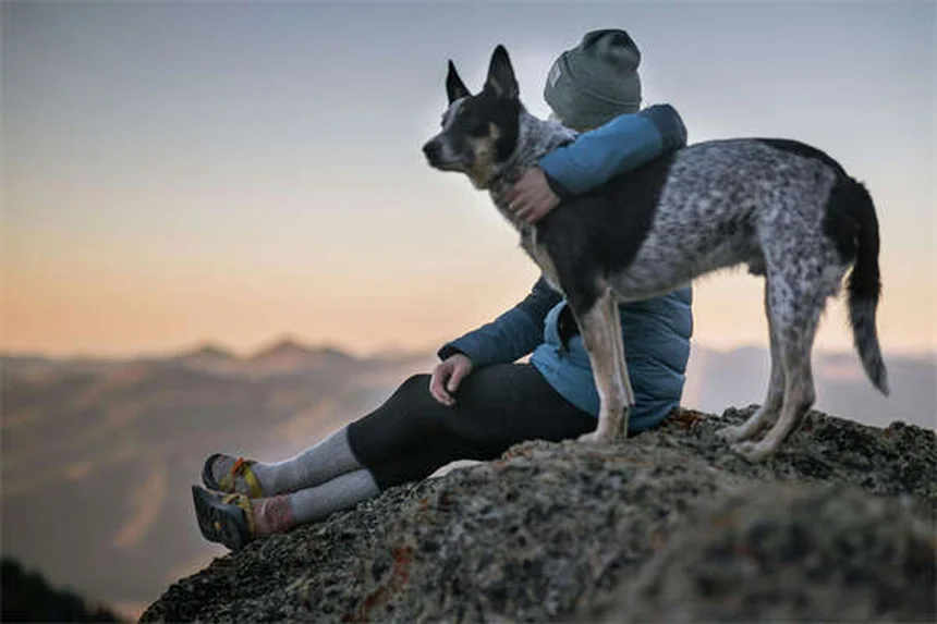 愛犬にぴったりのクレートのサイズとは？失敗しない選び方